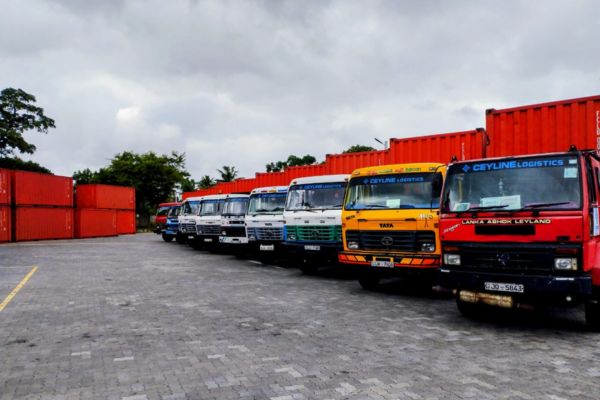 Distribution Management